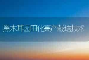 黑木耳园田化高产栽培技术