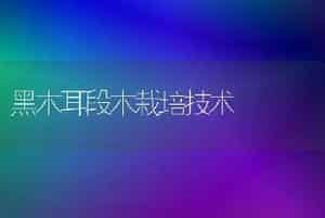 黑木耳段木栽培技术