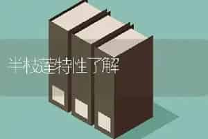 百胜（生菜）
