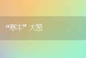 “寒丰”大葱