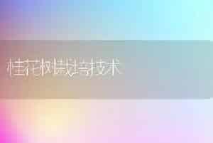桂花树栽培技术