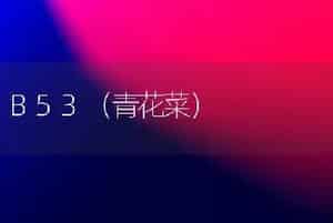 B53（青花菜）