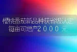 樱桃番茄新品种获省级认定 每亩可增产2000元