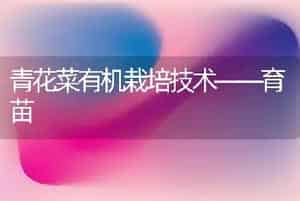 青花菜有机栽培技术――育苗