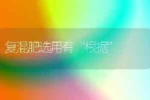 春播大葱的栽培技术