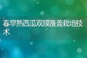 金叶女贞的落叶原因和对策-花木栽培技术