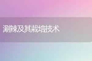 桂花扦插种植技术-花木种植培育