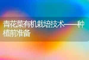 青花菜有机栽培技术――种植前准备