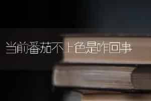当前番茄不上色是咋回事