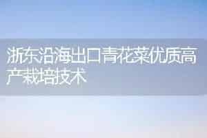 浙东沿海出口青花菜优质高产栽培技术