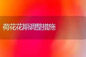 荷花花期调整措施