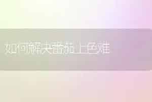 如何解决番茄上色难