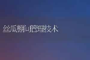 多肉植物管理月历2月