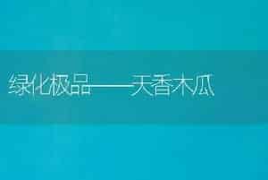荷花怎样过冬天