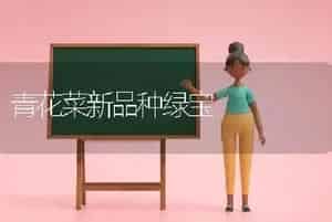 青花菜新品种绿宝