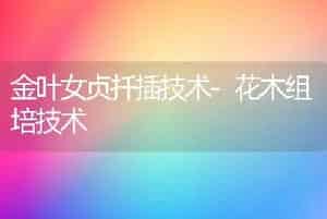 金叶女贞扦插技术-花木组培技术