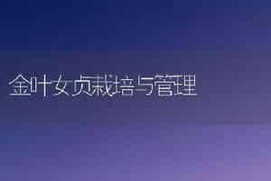 金叶女贞栽培与管理