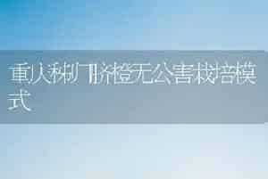 重庆秭归脐橙无公害栽培模式