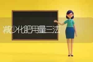耐抽薹小白菜新品种——春绿