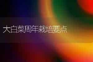 大白菜周年栽培要点
