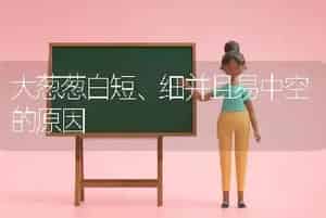 大葱葱白短、细并且易中空的原因
