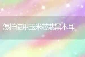 怎样使用玉米芯栽黑木耳
