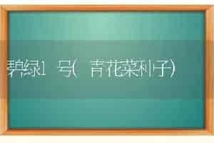 碧绿1号(青花菜种子)