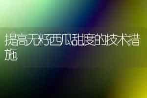 玫瑰的栽培