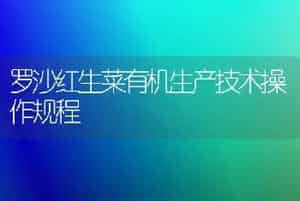 罗沙红生菜有机生产技术操作规程