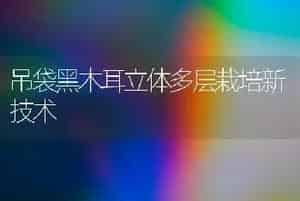 吊袋黑木耳立体多层栽培新技术