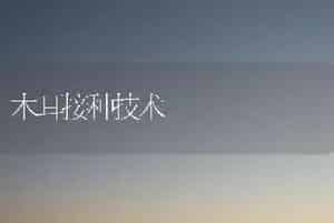 木耳接种技术