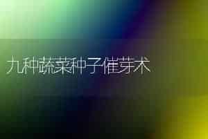 用桑枝栽培黑木耳技术