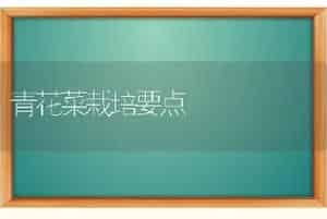 青花菜栽培要点