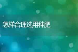 切花保鲜新技术郁金香