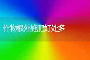 芳香四溢的日香桂