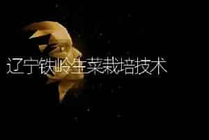 辽宁铁岭生菜栽培技术