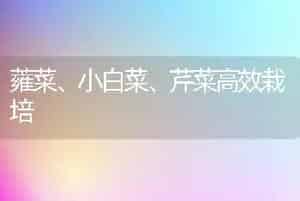 蕹菜、小白菜、芹菜高效栽培