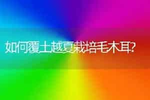 如何覆土越夏栽培毛木耳?