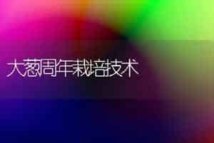 大葱周年栽培技术