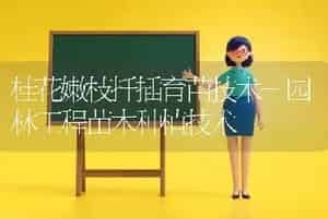 桂花嫩枝扦插育苗技术-园林工程苗木种植技术