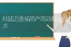 秋延迟番茄高产高效栽培技术