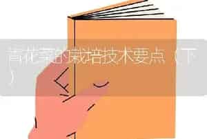 青花菜的栽培技术要点（下）