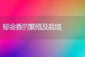 郁金香的繁殖及栽培