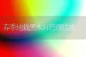 春季地栽黑木耳管理措施