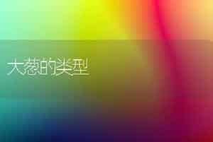大葱的类型