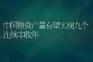 中国粮食产量有望实现九个连续丰收年