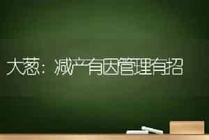 大葱：减产有因管理有招