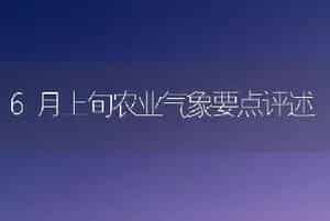中杂108番茄