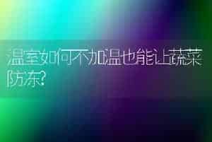 昙花为什么不开花
