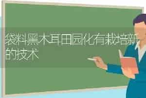 袋料黑木耳田园化有栽培新的技术